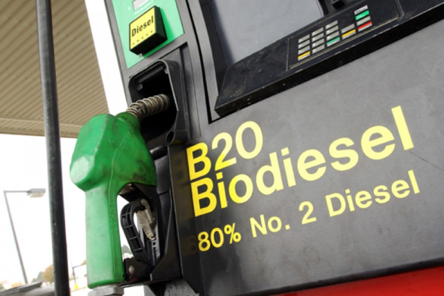 Биодизельное топливо для автомобилей. Преимущества использования